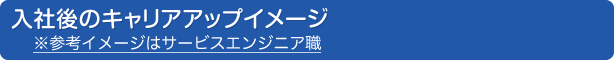 入社後のキャリアアップイメージ