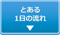 とある1日の流れ